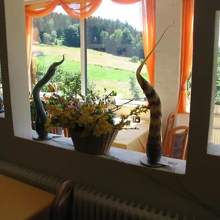 Hotel Hotel Riesberghof