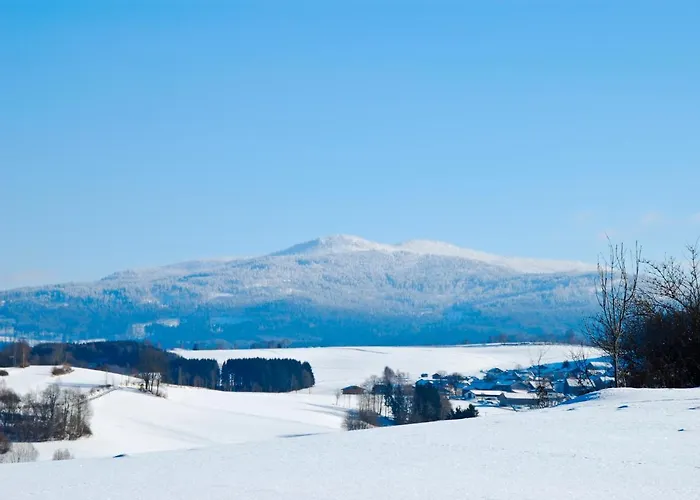 Hotel Riesberghof 3* Lindberg