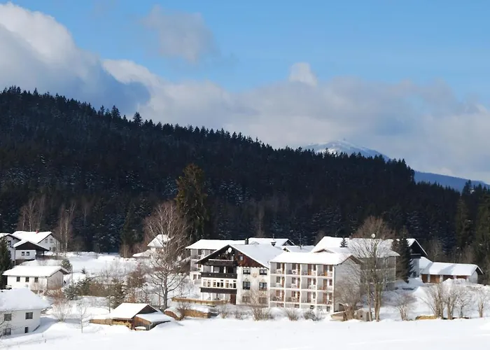 Otel Hotel Riesberghof 3*