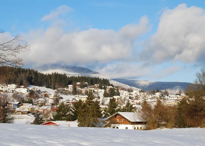 Hotel Riesberghof Lindberg
